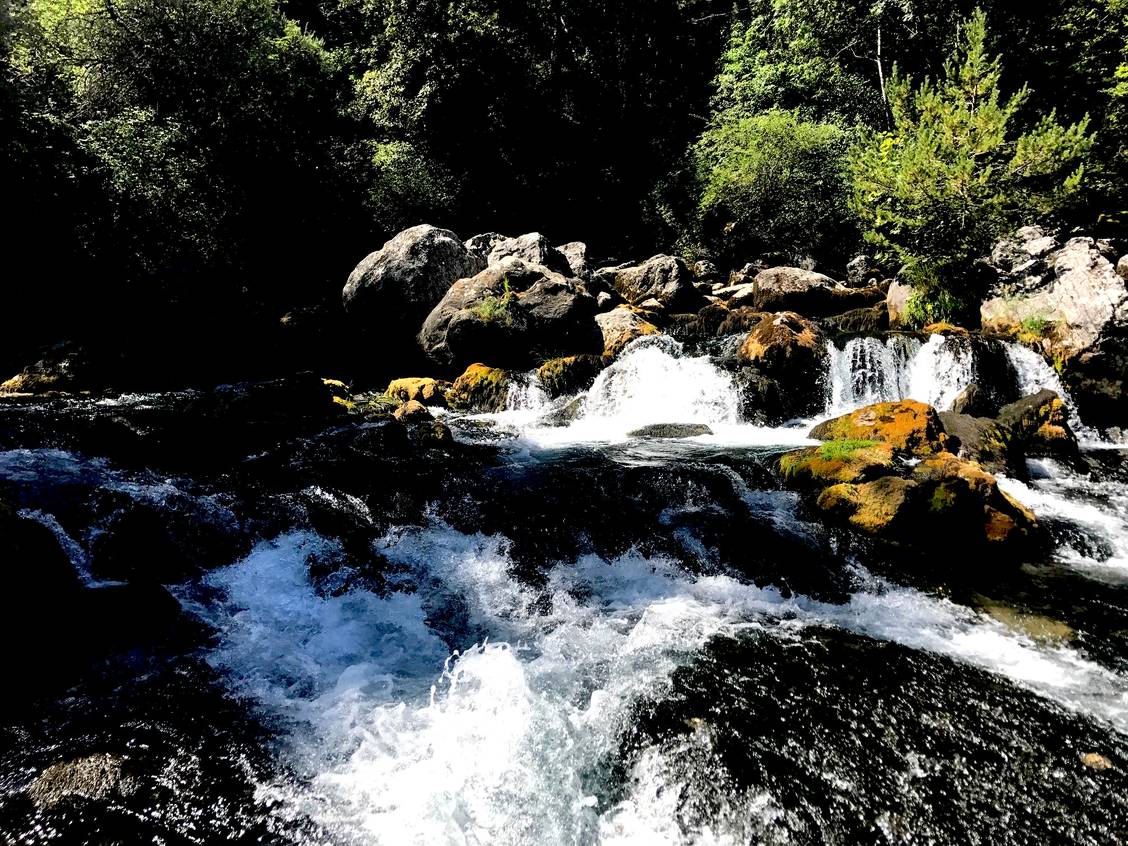 Sources des Gillardes, 2ème exsurgence de France après la Fontaine de Vaucluse