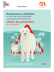 Chiens de protection