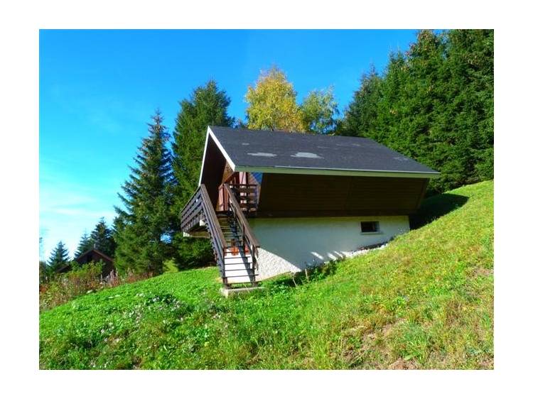 Photo 2 Le Bouquetin Chalet , 9 people, Mrs SCHEIDECKER ans Mrs CONTIER