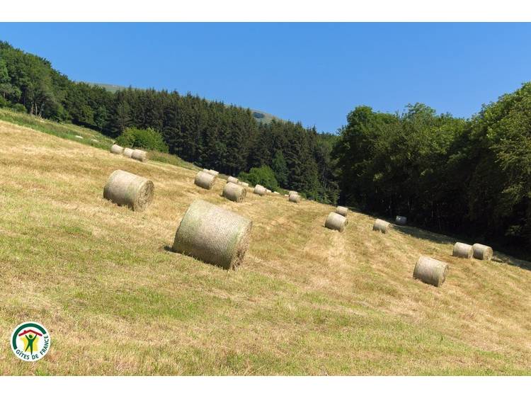 Foto 6 Gîte la Fayolle 2
