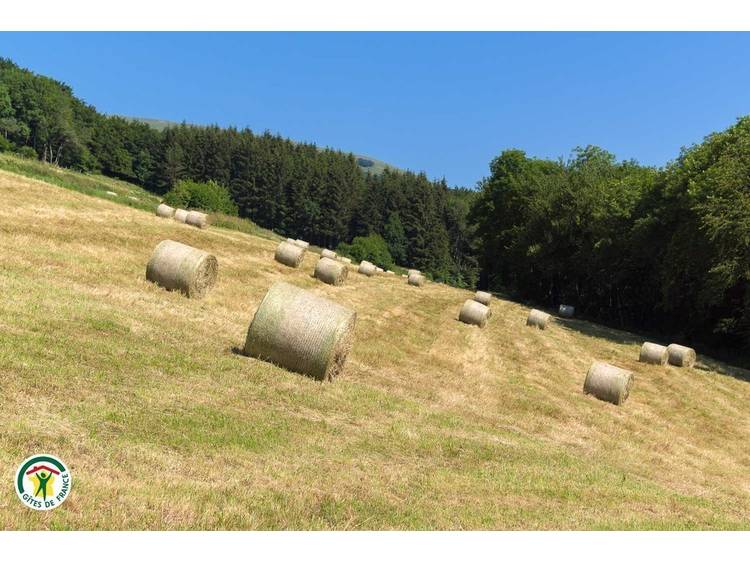 Photo 6 Gîte la Fayolle 2 -de 2 à 6 pers-St Théoffrey