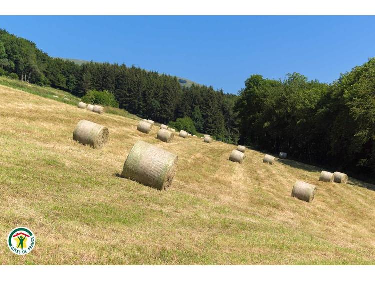 Photo 6 House Fayolle 2 - from 2 to 6 ppl