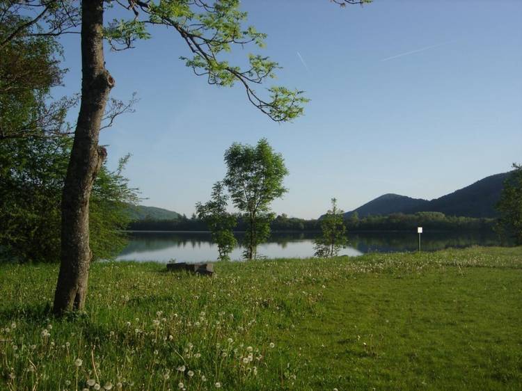Photo  Lac de Pierre-Châtel - Aire de pique-nique des Cordeliers