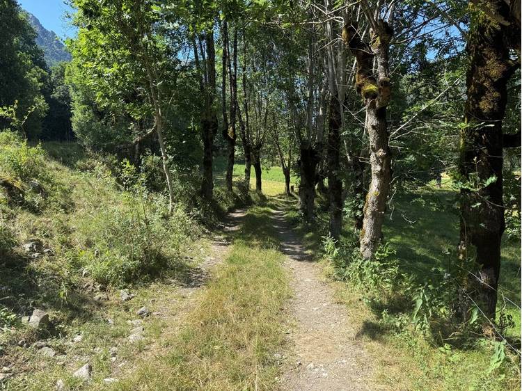 Photo 1 Mazoirs Pram-walk
