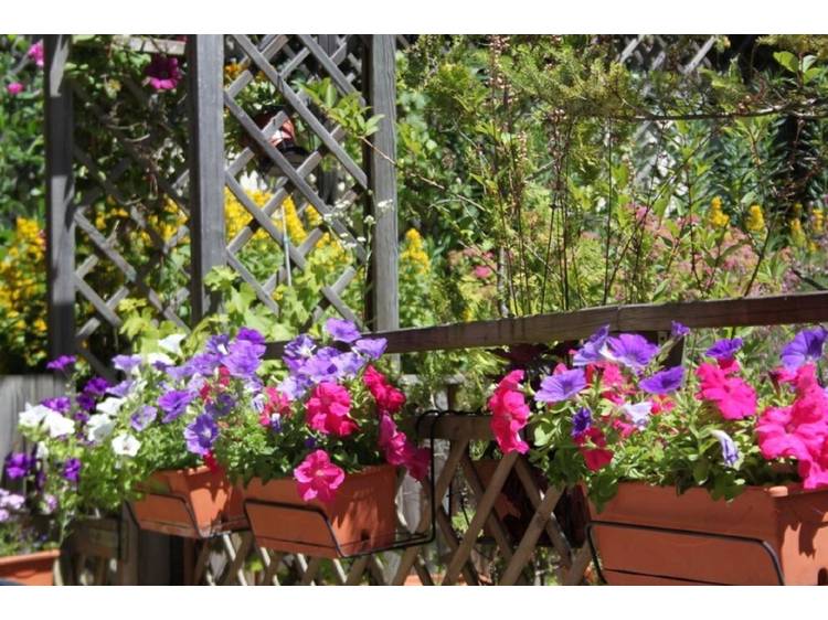 Photo 4 Cottage "La vieille écurie" - 4 ppl