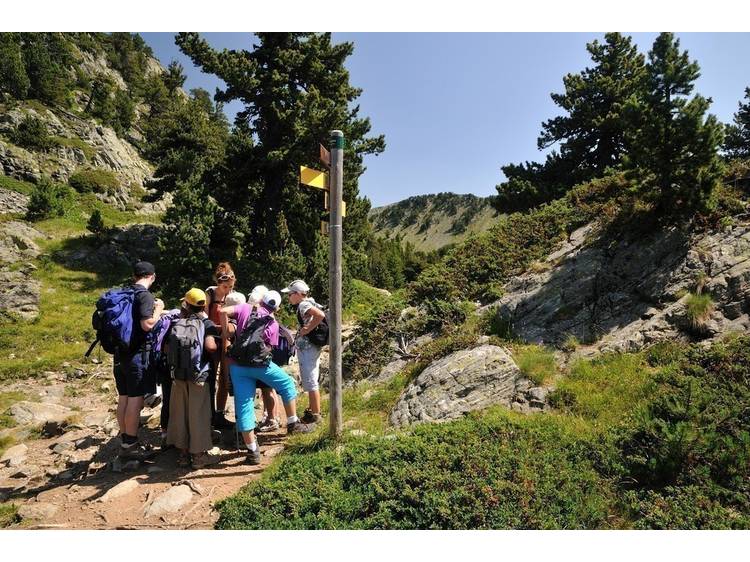 Photo 8 Randonnée accompagnée - À Fleurs de Montagne