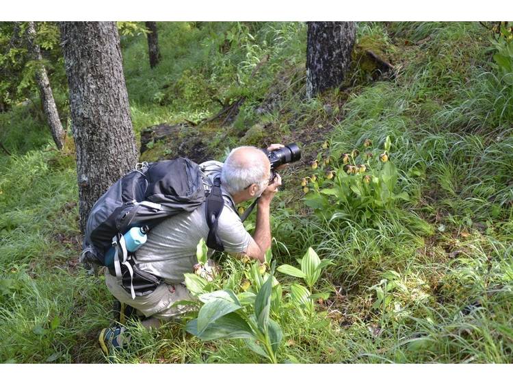 Photo 9 Animations nature - À Fleurs de Montagne