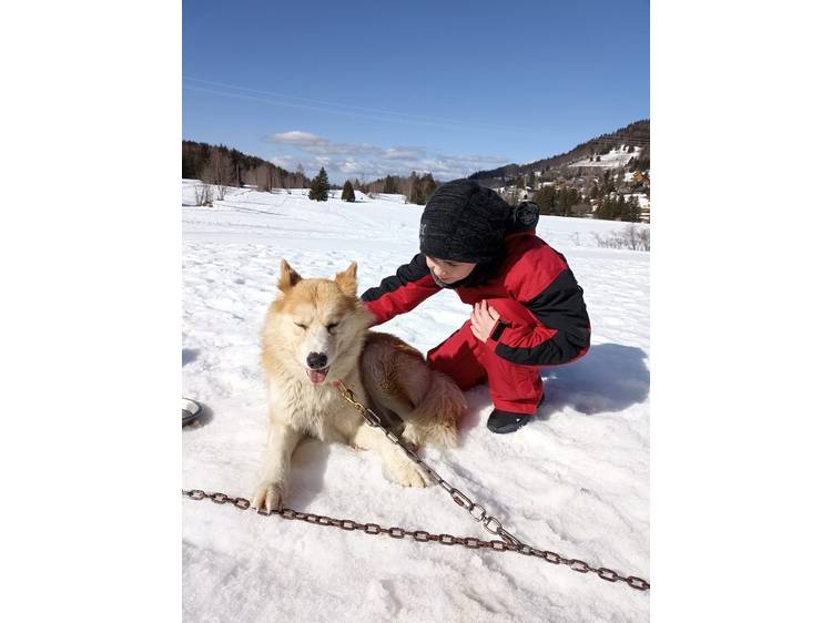 Photo 1 Les aventuriers du Grand Nord