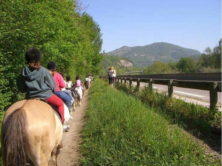 Photo 6 Classe équitation