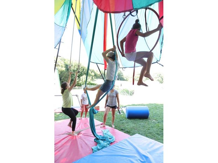 Photo 4 Art du cirque