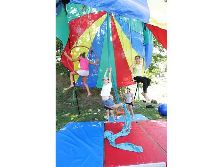 Photo 5 Art du cirque