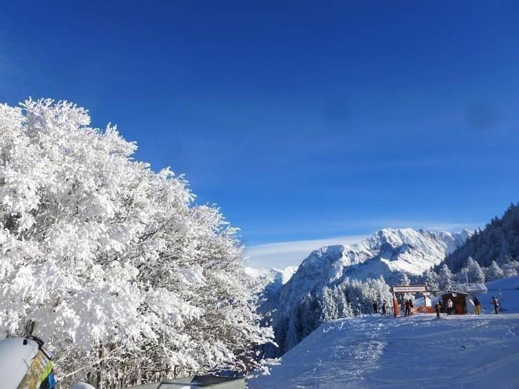 Photo 26 L'écrin de bois -8 personnes