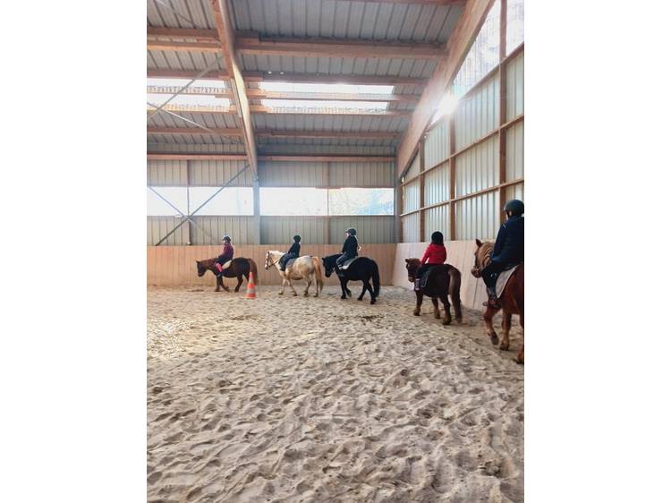 Photo 5 Ecurie du Serre (Stables)