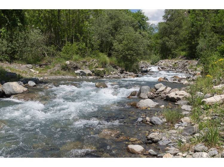 Photo 6 L'Epervier 4 personnes FAURE - FERIOL