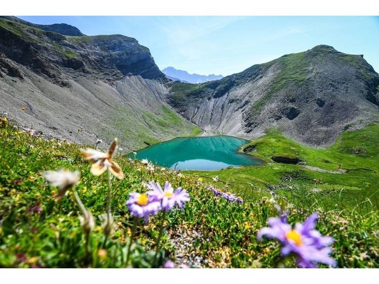 Photo 1 Labarre Lake