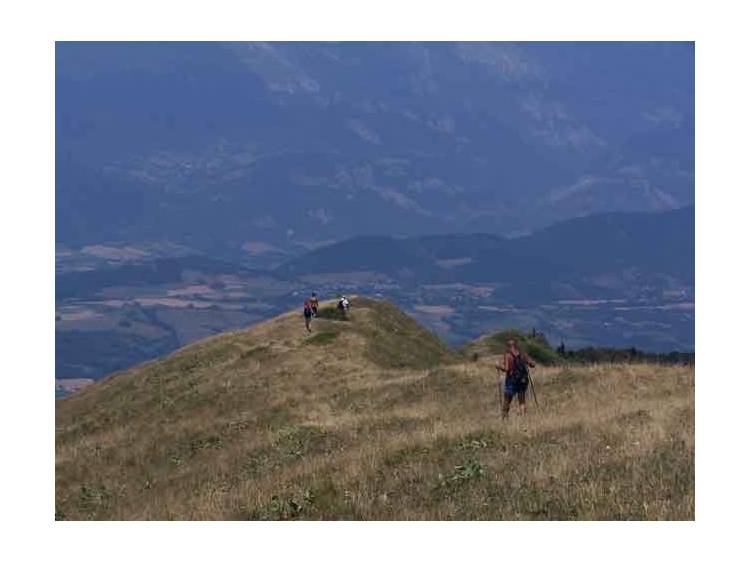 Photo 1 Alpage du Senépi