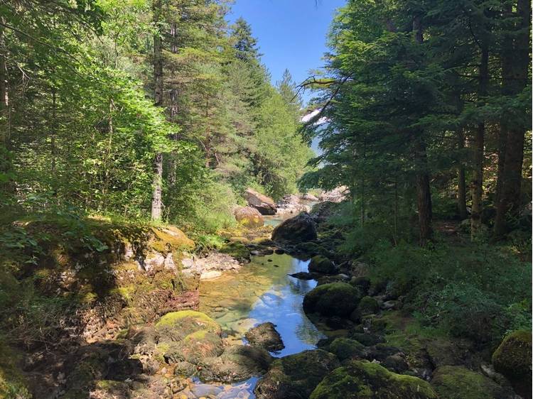Photo 2 Circuit pédestre : La forêt des Gillardes et le canyon de l'Infernet