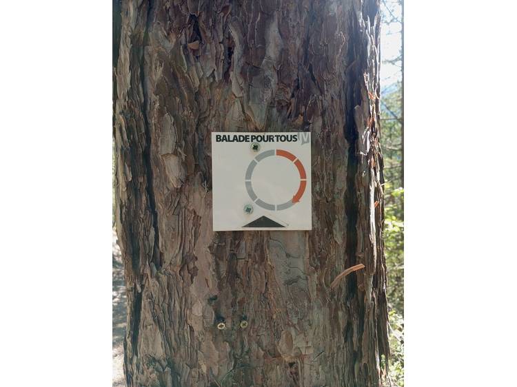 Photo 4 Circuit pédestre : La forêt des Gillardes et le canyon de l'Infernet