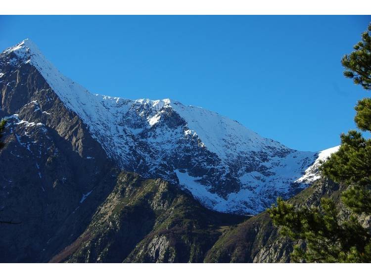 Photo 2 Circuit pédestre : La forêt des Roudons