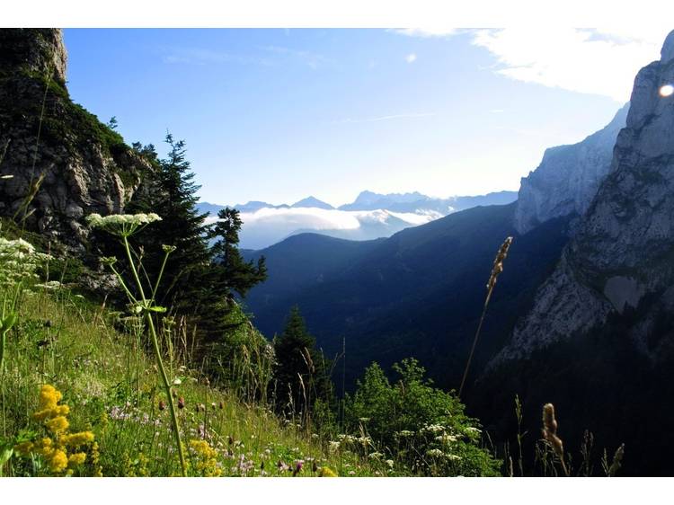 Photo 1 Randonnée pédestre : le Col de l'Aup