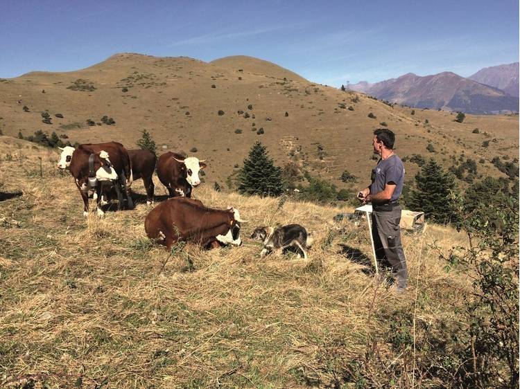 Photo 3 Randonnée pédestre : Alpage du Sénépi