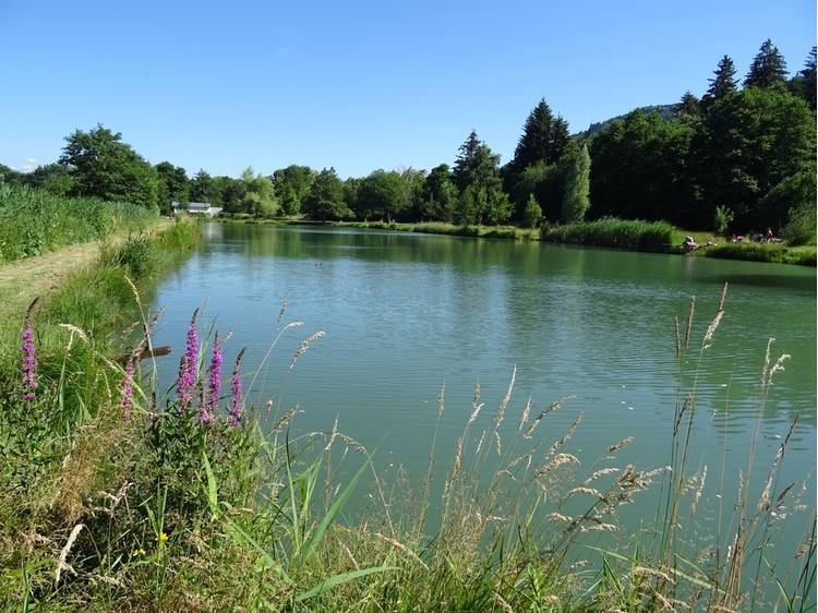 Photo 1 Etang du Crey