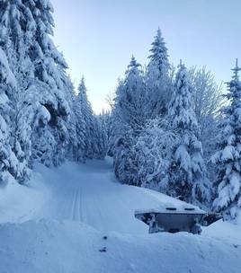 NEW - Cross country skiing area