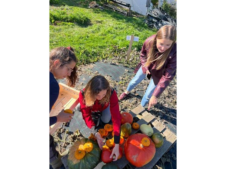 Photo 3 La ferme des Vents (Farm of Winds)