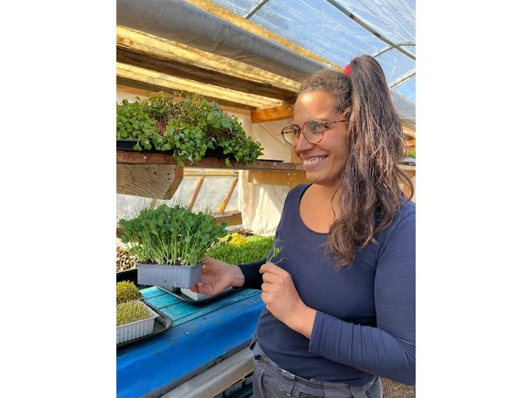 Photo 2 La ferme des Vents (Farm of Winds)