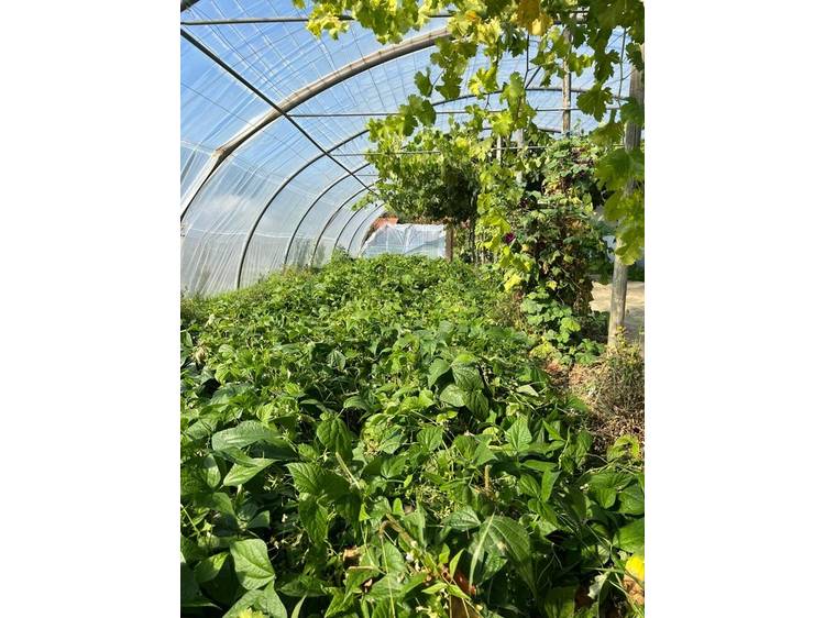 Photo 4 La ferme des Vents (Farm of Winds)