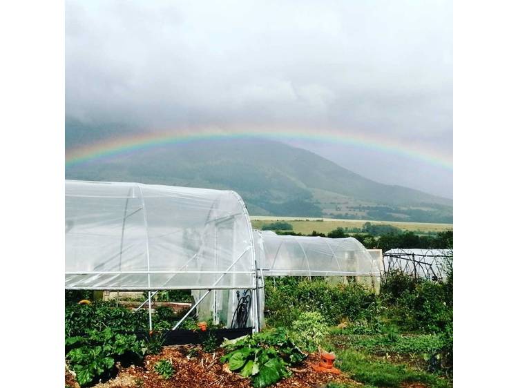 Photo 5 La ferme des Vents (Farm of Winds)