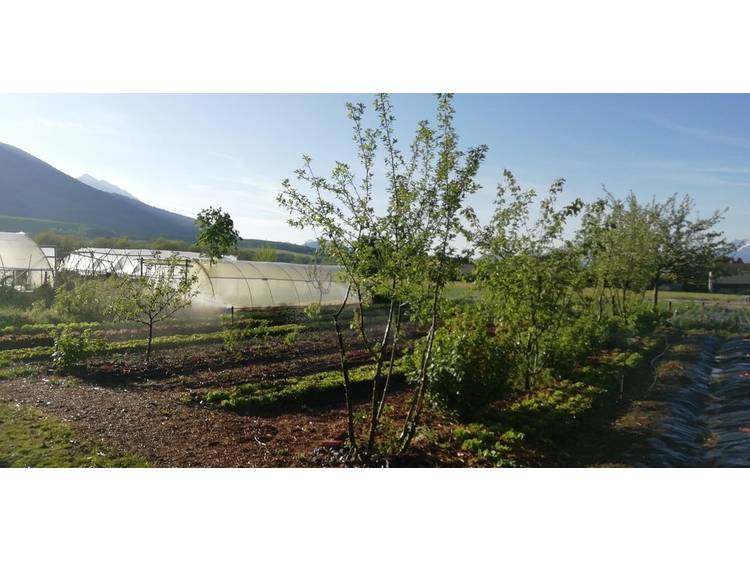 Photo 8 La ferme des Vents (Farm of Winds)