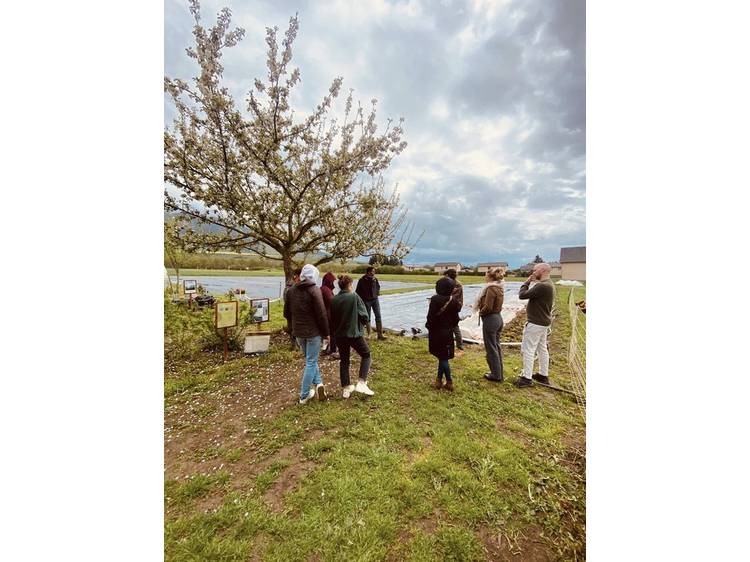 Photo 14 La ferme des Vents (Farm of Winds)