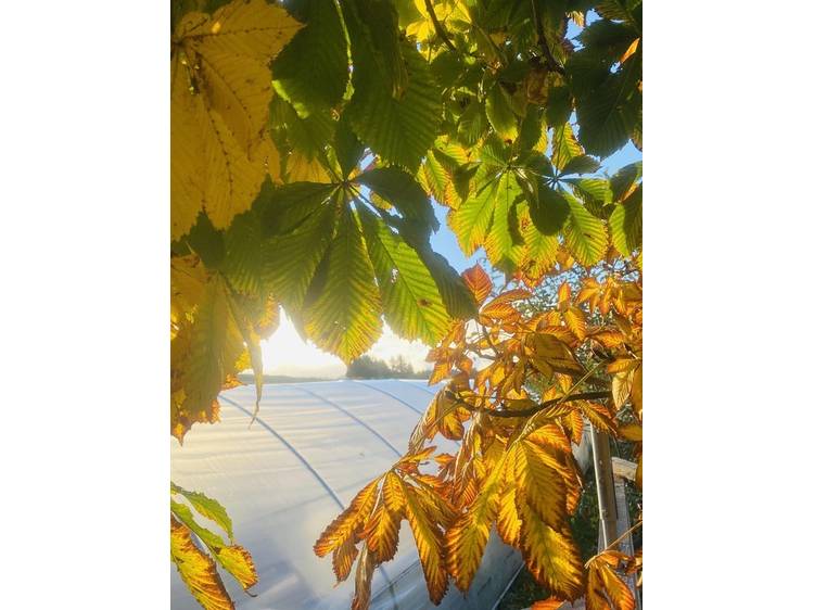 Photo 15 La ferme des Vents (Farm of Winds)