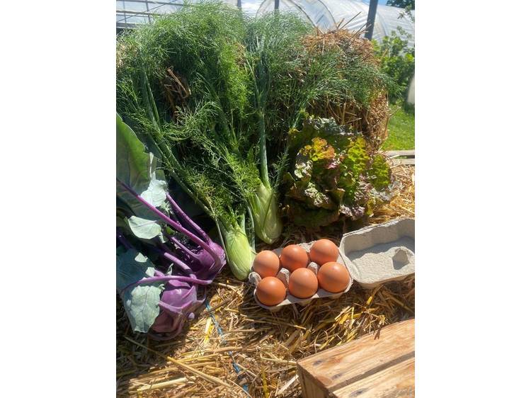 Photo 16 La ferme des Vents (Farm of Winds)