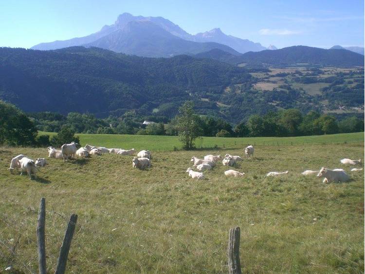 Photo 1 Gaec des Echaneaux