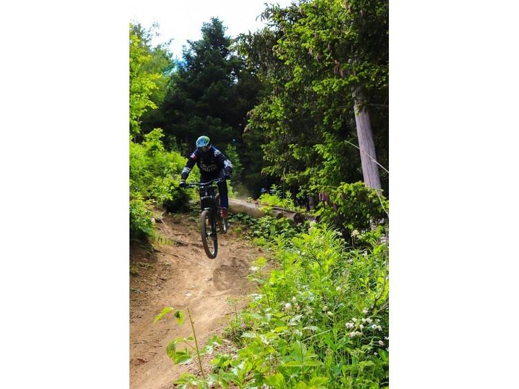 Photo 1 Patatrack - piste descente VTT bleue