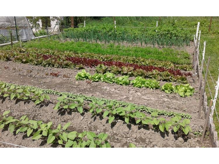 Photo 22 Cottage "Le Grand Armet" - 4 ppl -Chantelouve