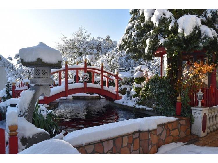 Foto 40 Au Printemps Japonais - de 2 à 6 pers