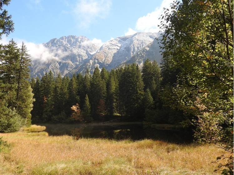 Photo 57 Au Printemps Japonais - de 2 to 6 pers