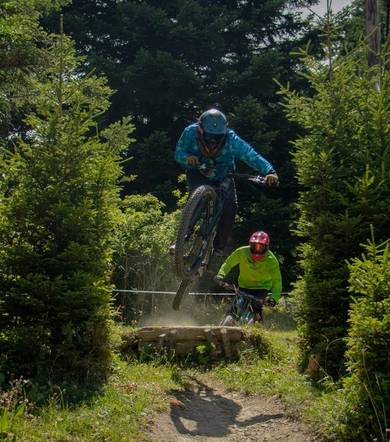 Bois Faudant - variante noire - VTT