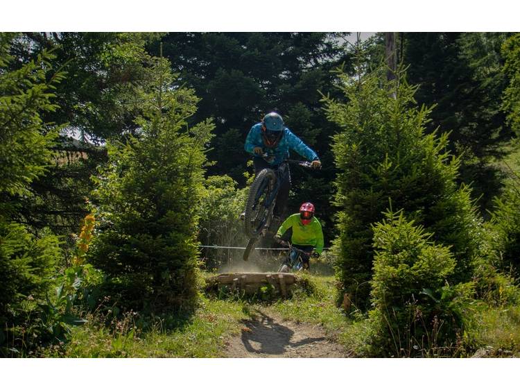 Photo 1 Bois Faudant - variante noire - VTT