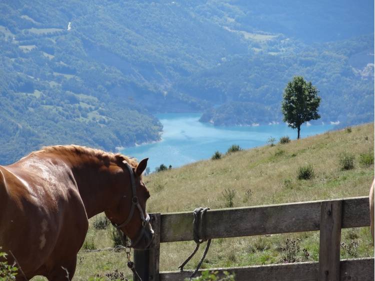 Photo 3 Lacs et alpages - Matheysine 6 jours