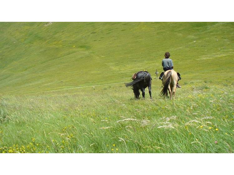 Photo 6 Lacs et alpages - Matheysine 6 jours