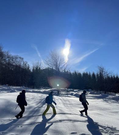 Itinéraire raquettes Les traces du lièvre variable - Col d'Ornon