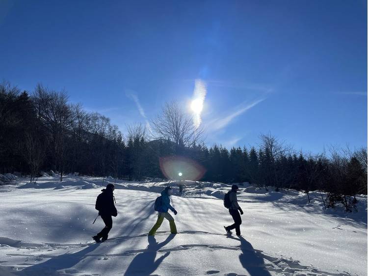 Photo 1 Itinéraire raquettes Les traces du lièvre variable - Col d'Ornon