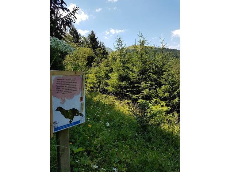 Photo 1 Rando famille - l'arboretum-Itinéraire pédestre