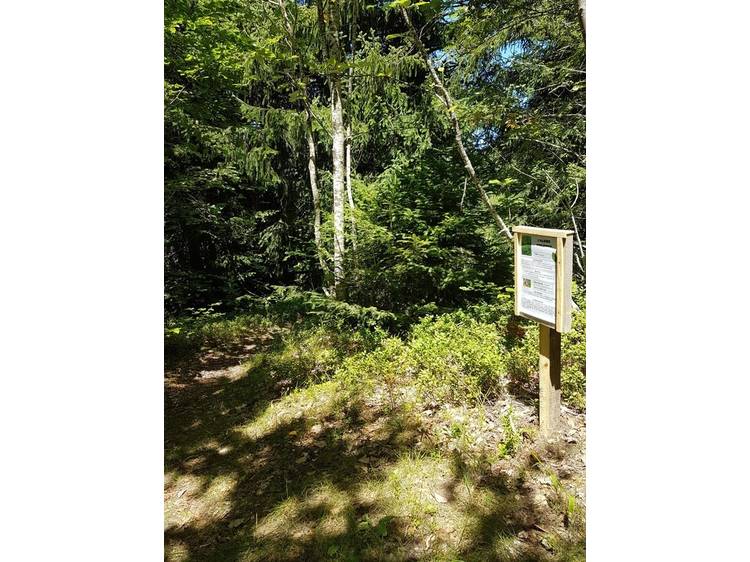 Photo 2 Rando famille - l'arboretum-Itinéraire pédestre