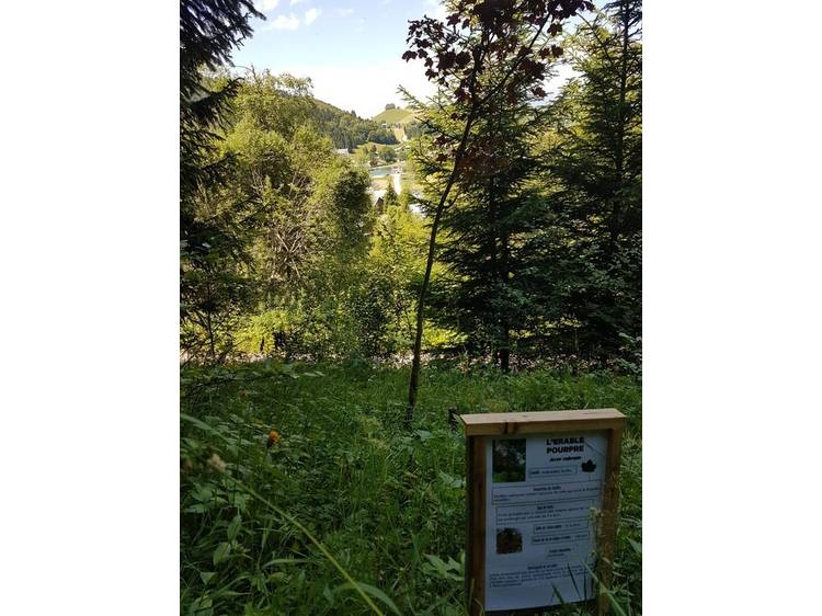 Photo 3 Rando famille - l'arboretum-Itinéraire pédestre