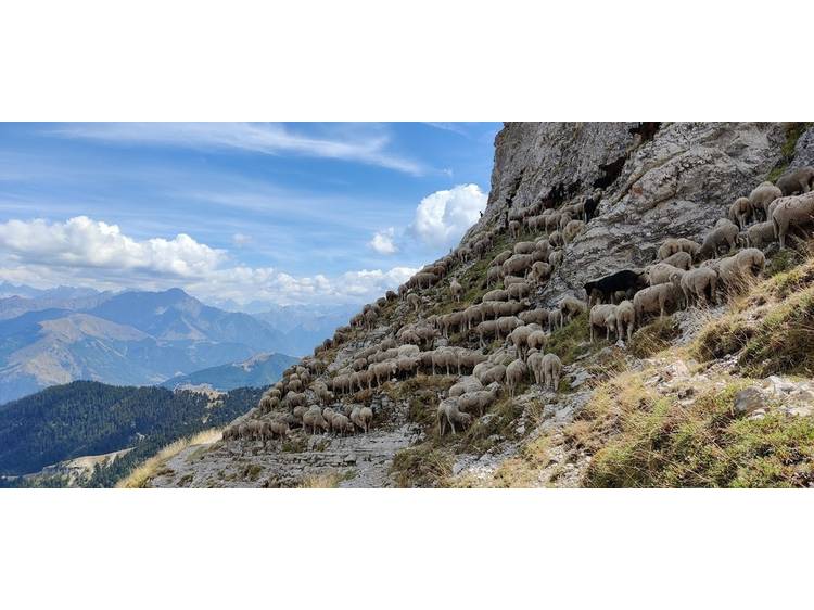 Foto 5 Chambres d'hôtes Au balcon de l'Obiou- Les côtes de Corps-